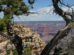 Blik op de Grand Canyon